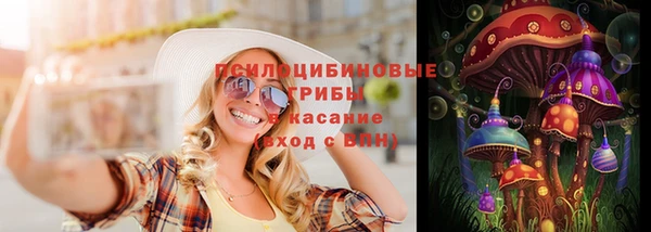 скорость Ельня