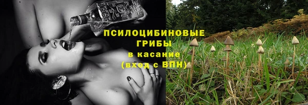 скорость Ельня