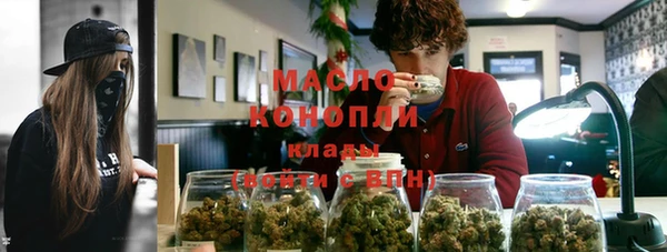 скорость Ельня