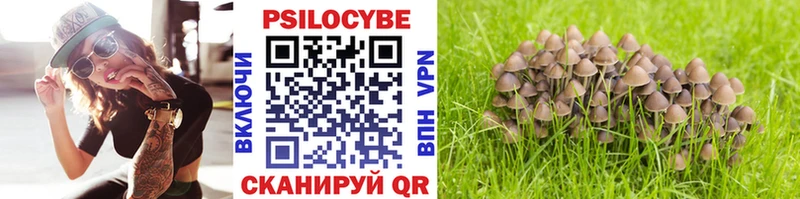 Галлюциногенные грибы Cubensis  Купить где  Кудрово 