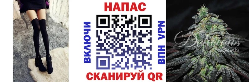 Купить закладки  Кудрово  Бошки марихуана семена 